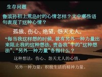 《子都道寂寞子都道美好》的句子