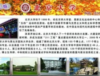 名校辍学，全脸动刀，“日本第一”牛郎罗兰孤注一掷的