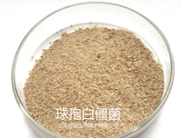 《《我的微生物朋友：真菌地球》》读后感1000字