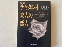 《查泰莱夫人的情人》读后感1000字