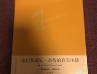 《塞巴斯蒂安·奈特的真实生活》读后感精选