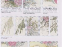 《水仙花 narcissu》读后感摘抄