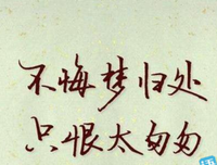 我的青春可曾荒废的优美句子