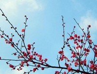 心格自路只士所畏，所以坚强好词好句