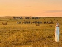 我没有放弃爱情，我只是放弃你