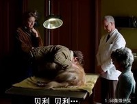《穿越麦田》经典观后感集
