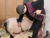 关于寸步不离的座右铭