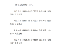 15条关于蝇营狗苟的经典语句