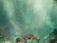 与小人相处，牢记“三不”！