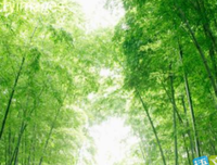 春风们一路小而十成，我一地好陪象有可你。的优美句子