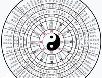 《易经的奥秘》读后感100字