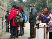 雅俗共赏的优美句子