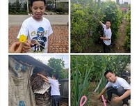 中矿大信控学院“关爱留守儿童”暑期社会实践团赴河北