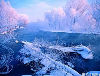 《冰雪之行》观后感摘抄