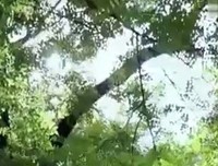 就算全世界都看不起你，你也要看起你自己