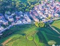 诗意的栖息
