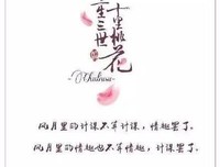 【惊主军开绝艳。】句子