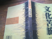 孤城闭的读后感大全