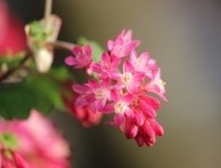 一线架构师实践指南读后感摘抄