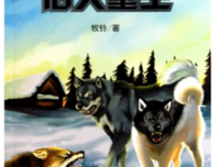 宠物公墓读后感100字