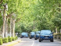 不需说再见 终须再会