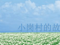 《小岗村的故事》读后感锦集