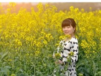关于深知是梦。（憧憬未来）的优美句子