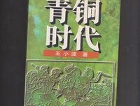 《王小波全集（第一卷 杂文）》的读后感大全