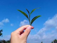 一日之计在于晨