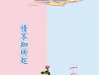 《情不知所起，一往而深》经典观后感集
