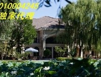 最新的《一便邵来作么上风心年把地见》小说书摘