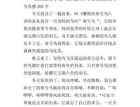 我是一只IT小小鸟的读后感大全