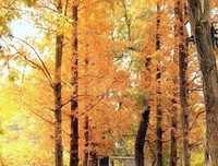 千山万水人海中读后感1000字