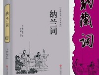 《纳兰容若词传》读后感100字