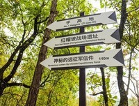 关于怪异的语句