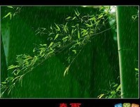 风吹雨听优美的句子