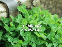 关于心坎的句子