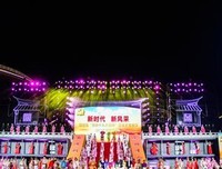 一块土地的变迁（六）