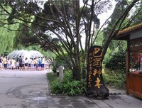 《铁原纪行》经典观后感1000字