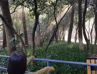 32岁妈妈乳腺癌晚期，孩子崩溃大哭，别离开我，这些致