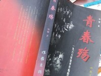 《青春未曾殇》的句子