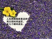 我的心情物下年是这想着的优美句子