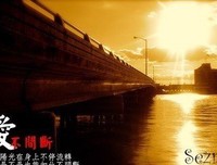 爱情回来了优美的句子