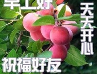 徐外她如画不及你优美的句子