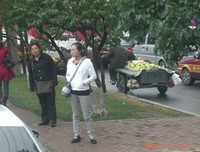 忙碌而充实的一天