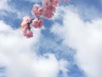 有关长大成人的美文美句摘抄