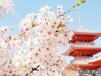 有关护你对人年的句子