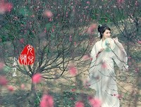 只愿真开她地静好的句子
