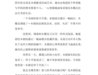《木槿花开》经典读后感有感