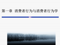 《消费者行为学 （第8版·中国版）》读后感精选